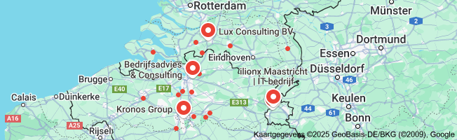 consultancy bedrijf