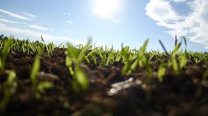 groene energieleveranciers