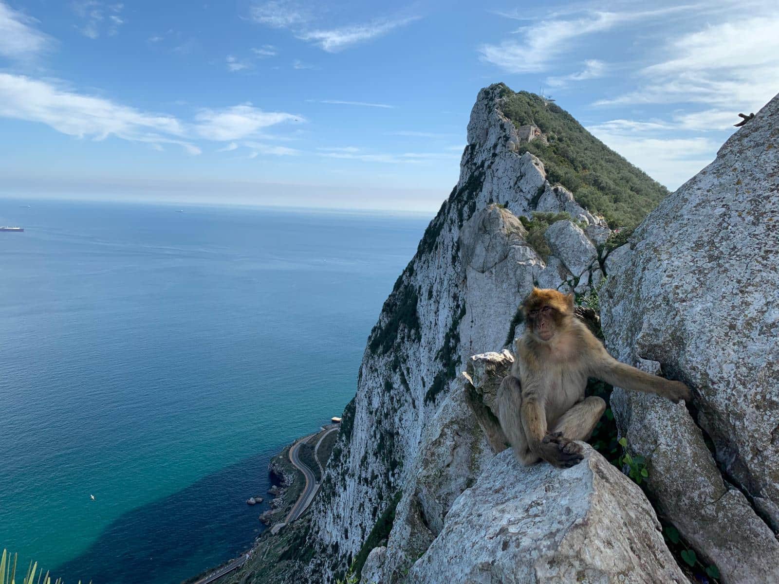 betrouwbaarheid synoniem