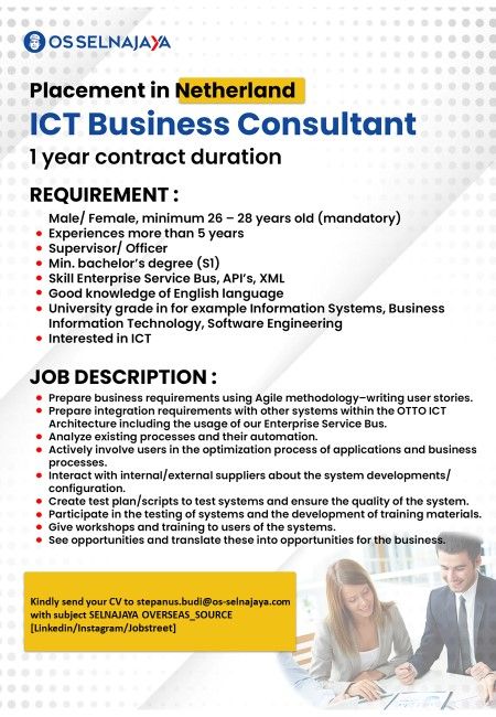 ict business consultant
